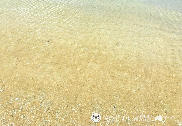 砂が透ける透明度抜群の海