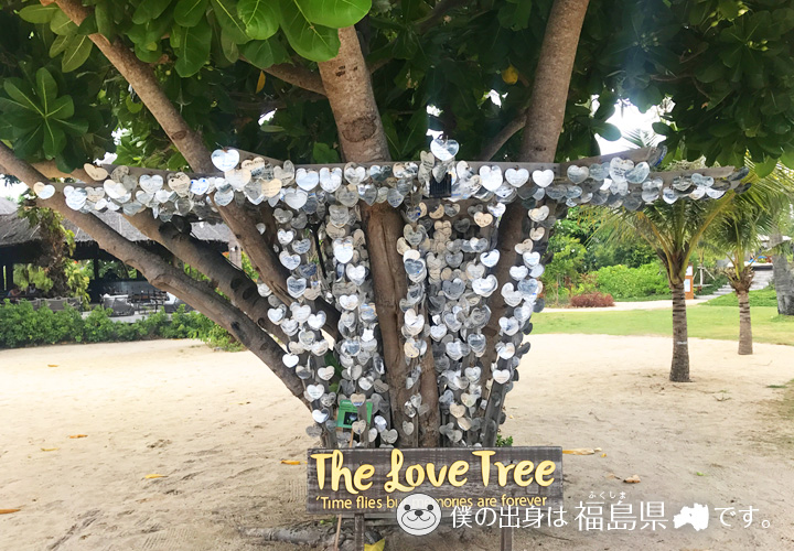 THE LOVE TREE